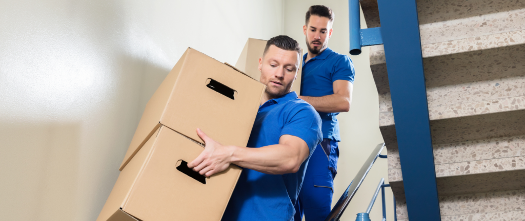 Movers and Packers in Al Ain