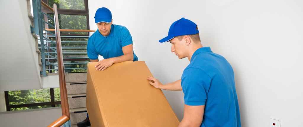 Movers and Packers in Fujairah